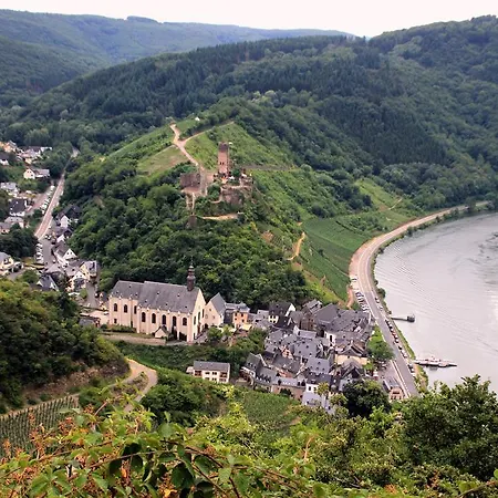 Beilsteiner *